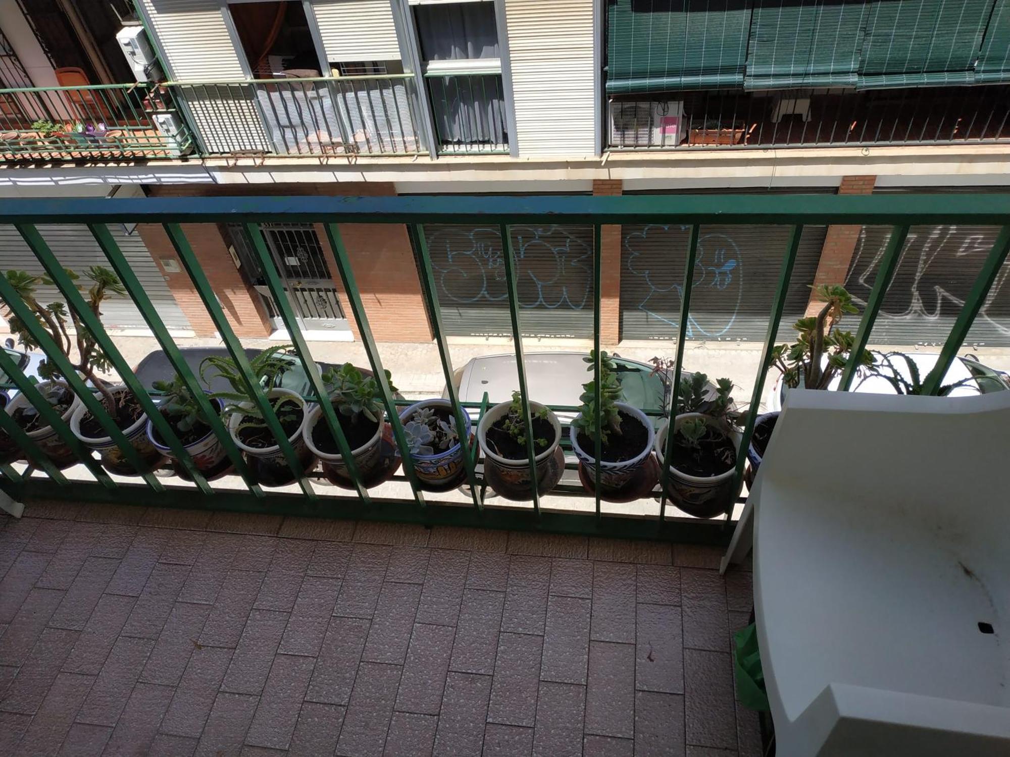 Centro Alameda De Hercules *